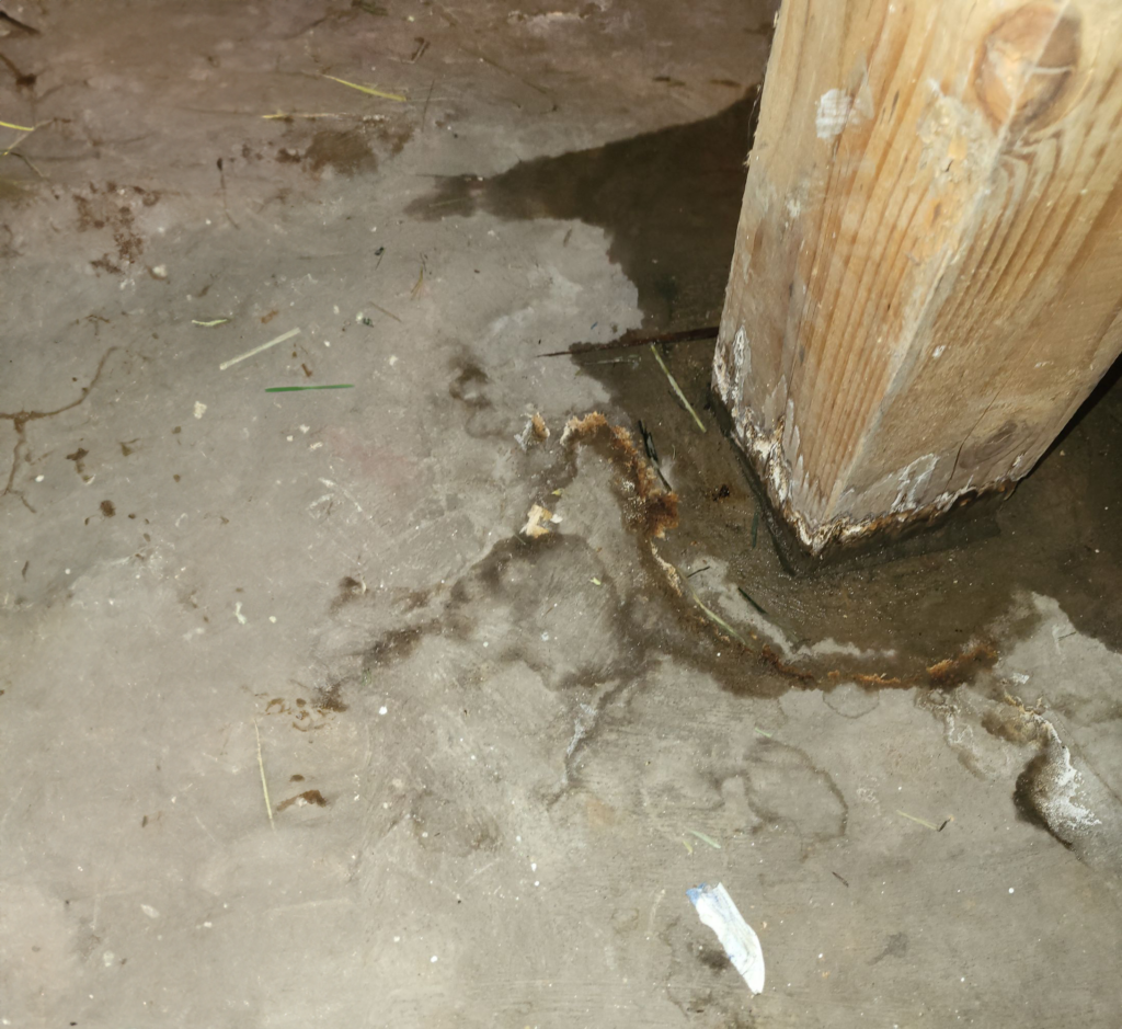 rotten-wood-posts