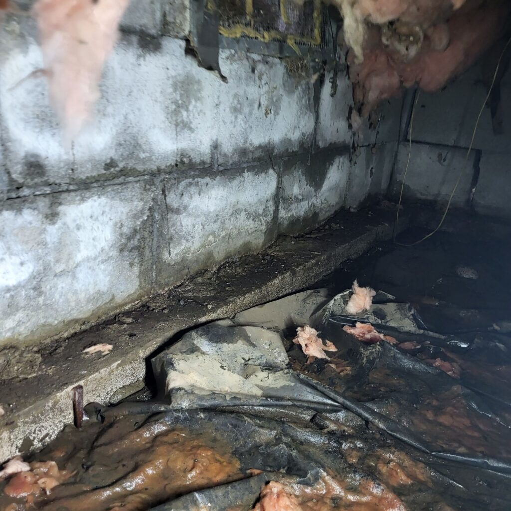 wet-damp-crawlspace