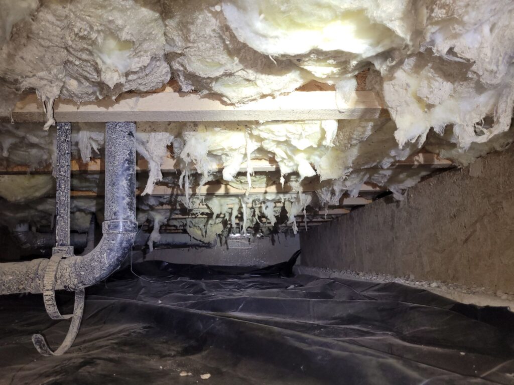 crawlspace-odors