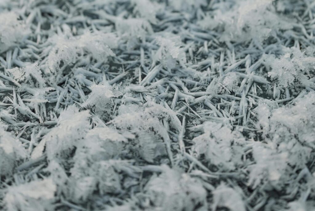 frost-ground-pnw