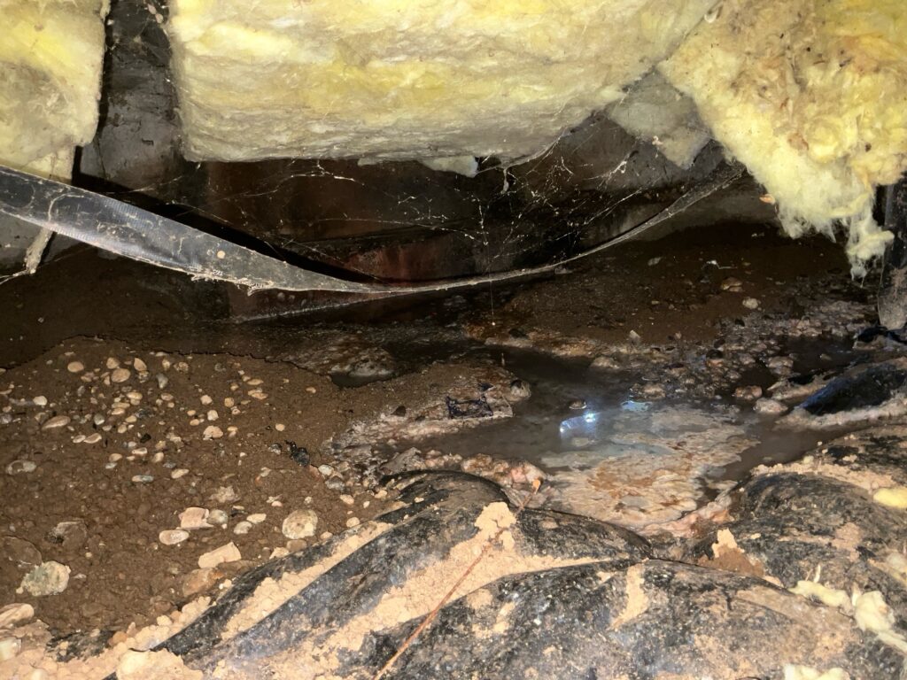 signs-of-wet-crawl-space