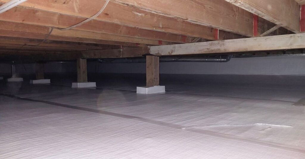 How To Prevent Mold From Forming in Your Crawl Space