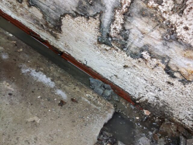 Dealing with Basement Stains: Understanding Efflorescence and Moisture Issues